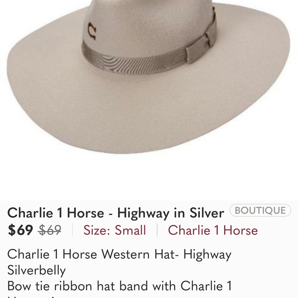 Charlie 1 Horse - Highway in Silver